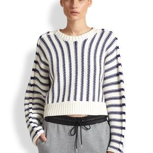 Alexander Wang Chunky Striped Sweater